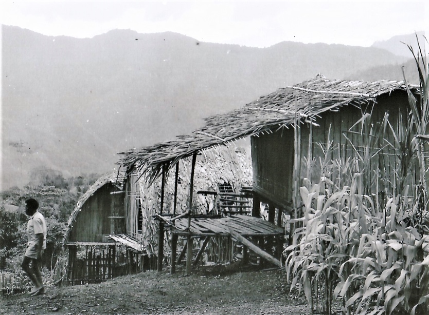 A typical village hut
