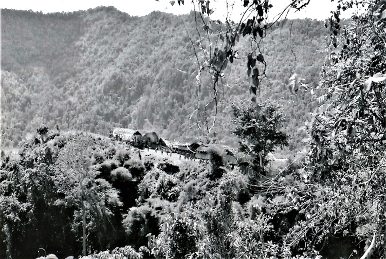 A village in the forest in PNG